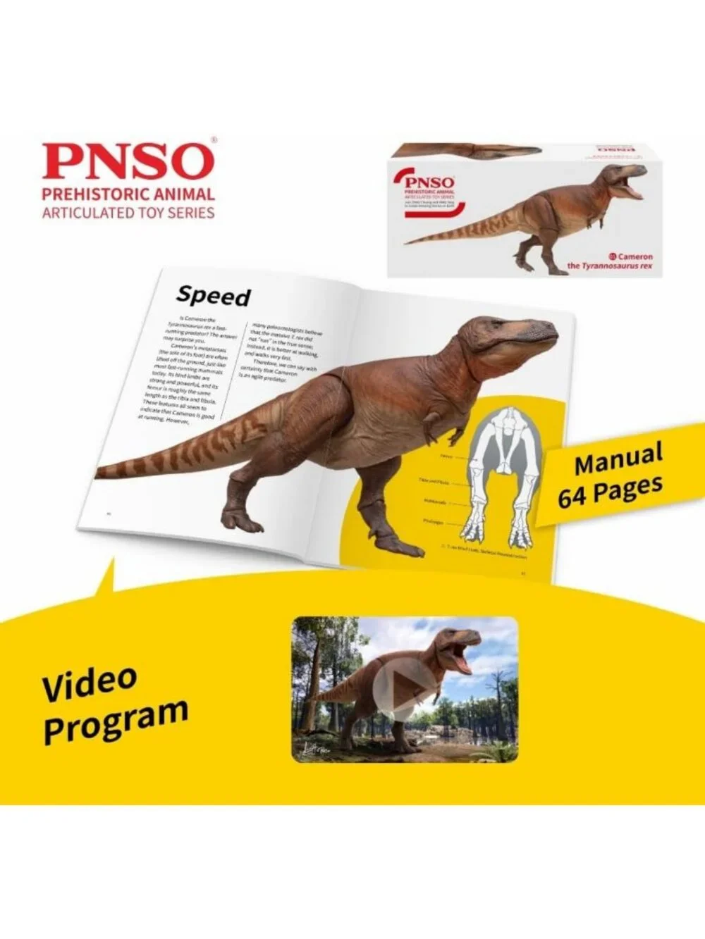 Articulated Prehistoric Dinosaur Toy - Cameron Tyrannosaurus Rex Figure